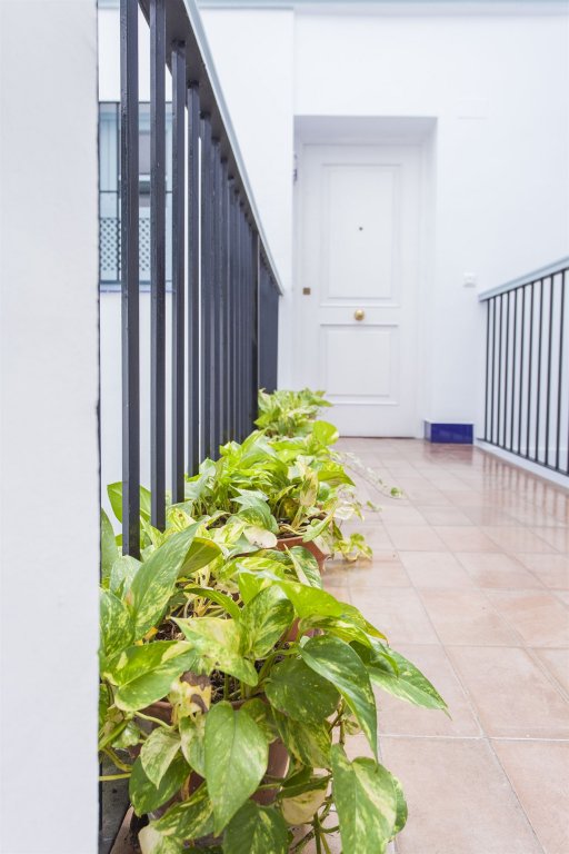 Фото Apartamentos Suites Santa Cruz