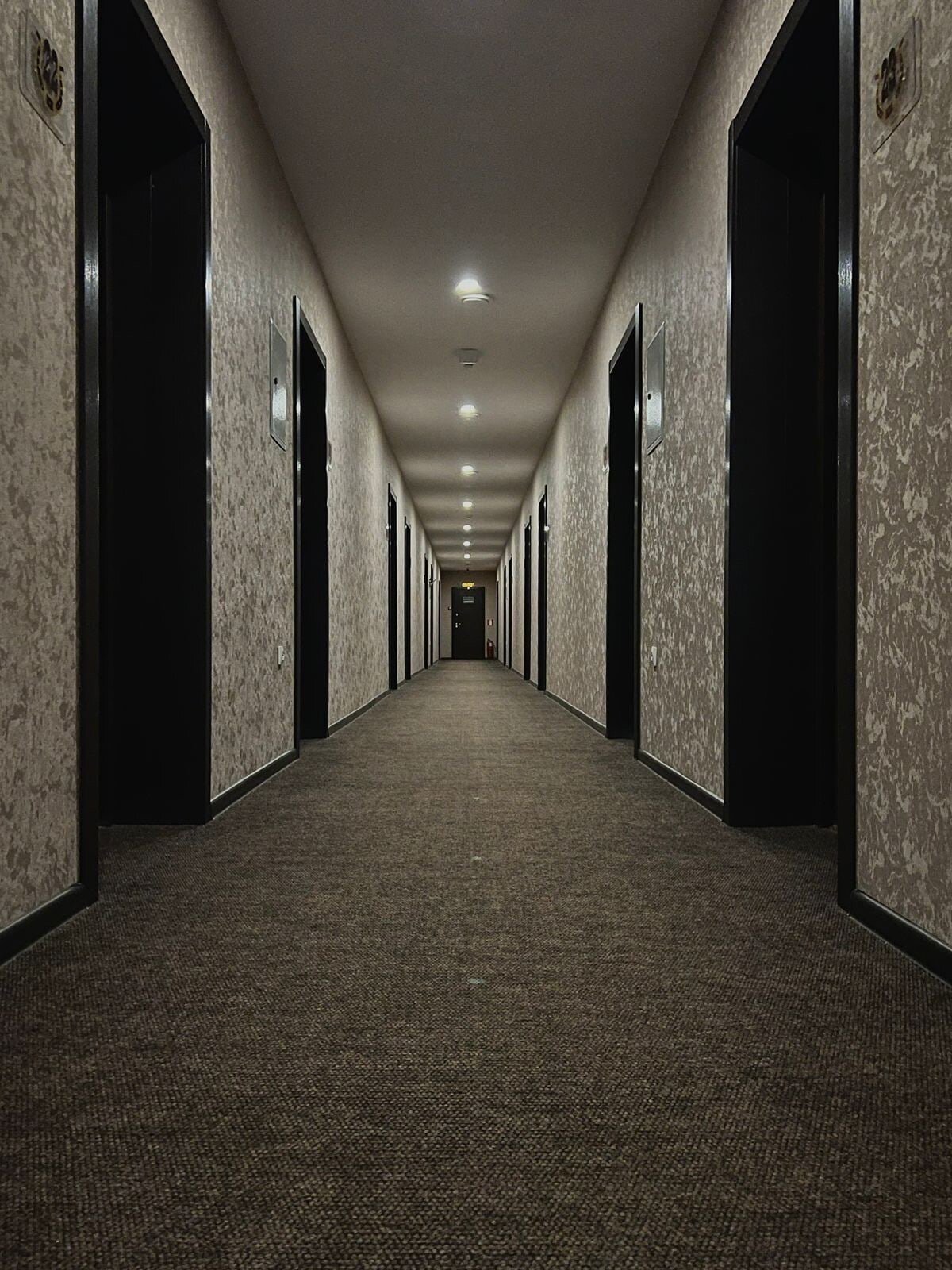 Фото Подкова