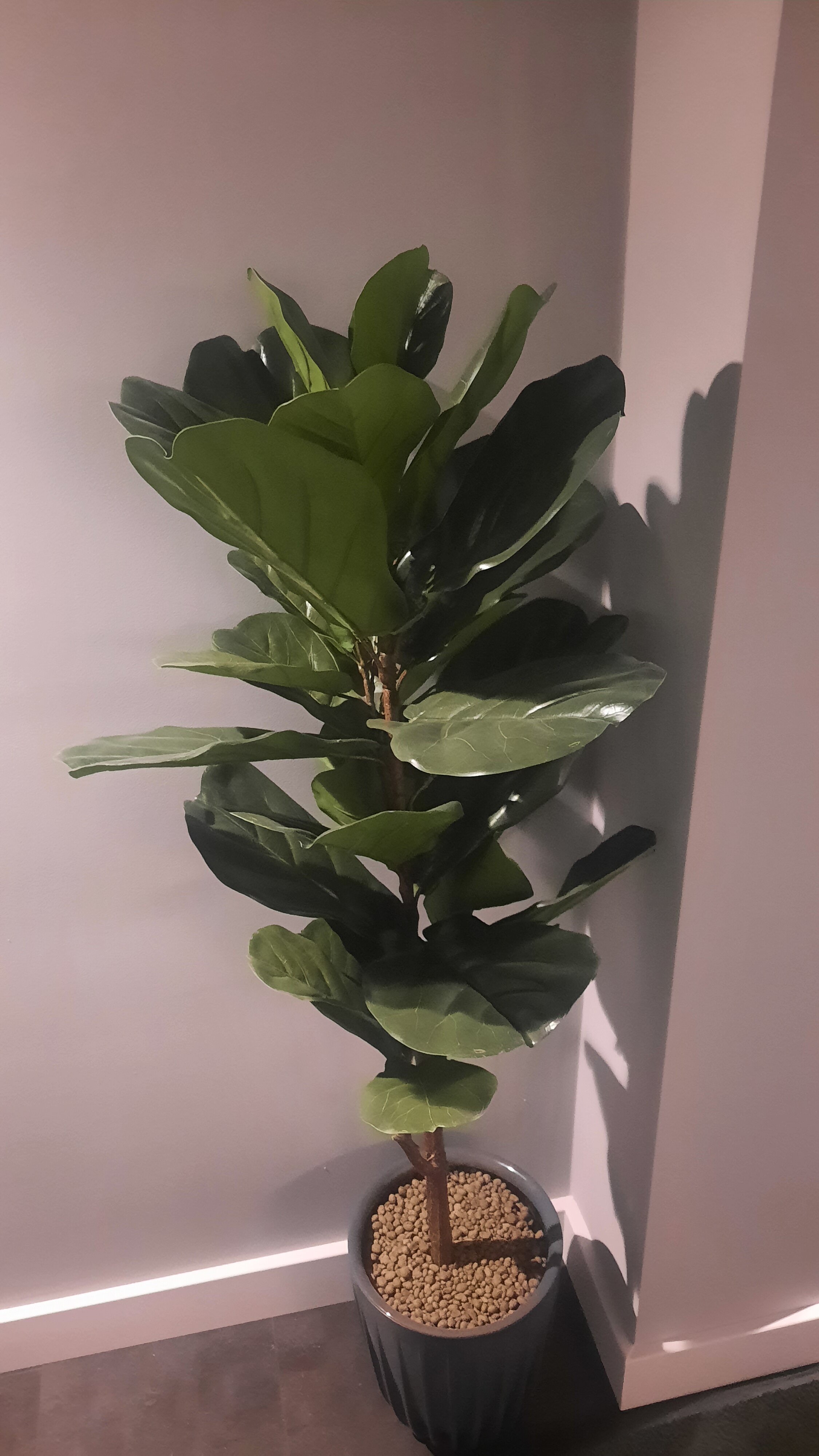 Фото Демократ на Краснопутиловской 111