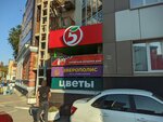 Блеск (Molodogvardeyskaya Street, 143) ، التنظيف الجاف