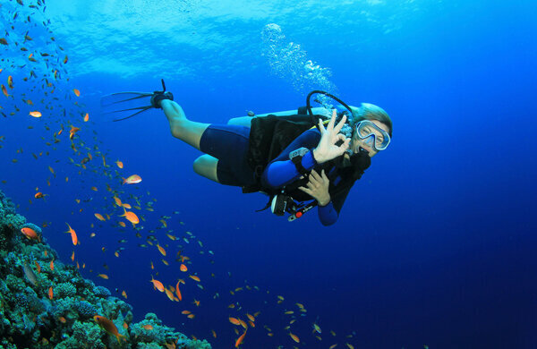 Travel agency Al Arif Sons Travel, Dubai, photo