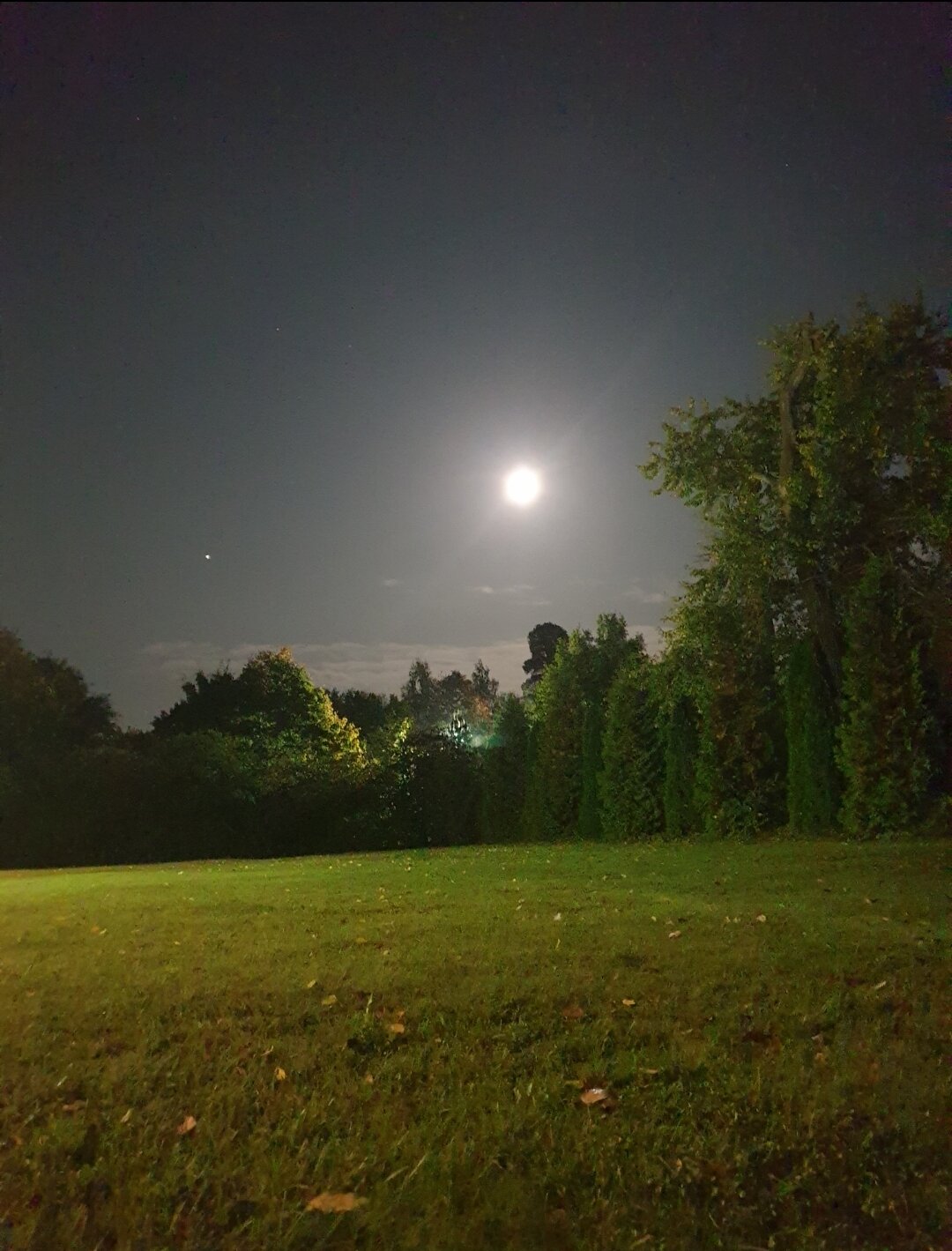 Фото Мишкина дача