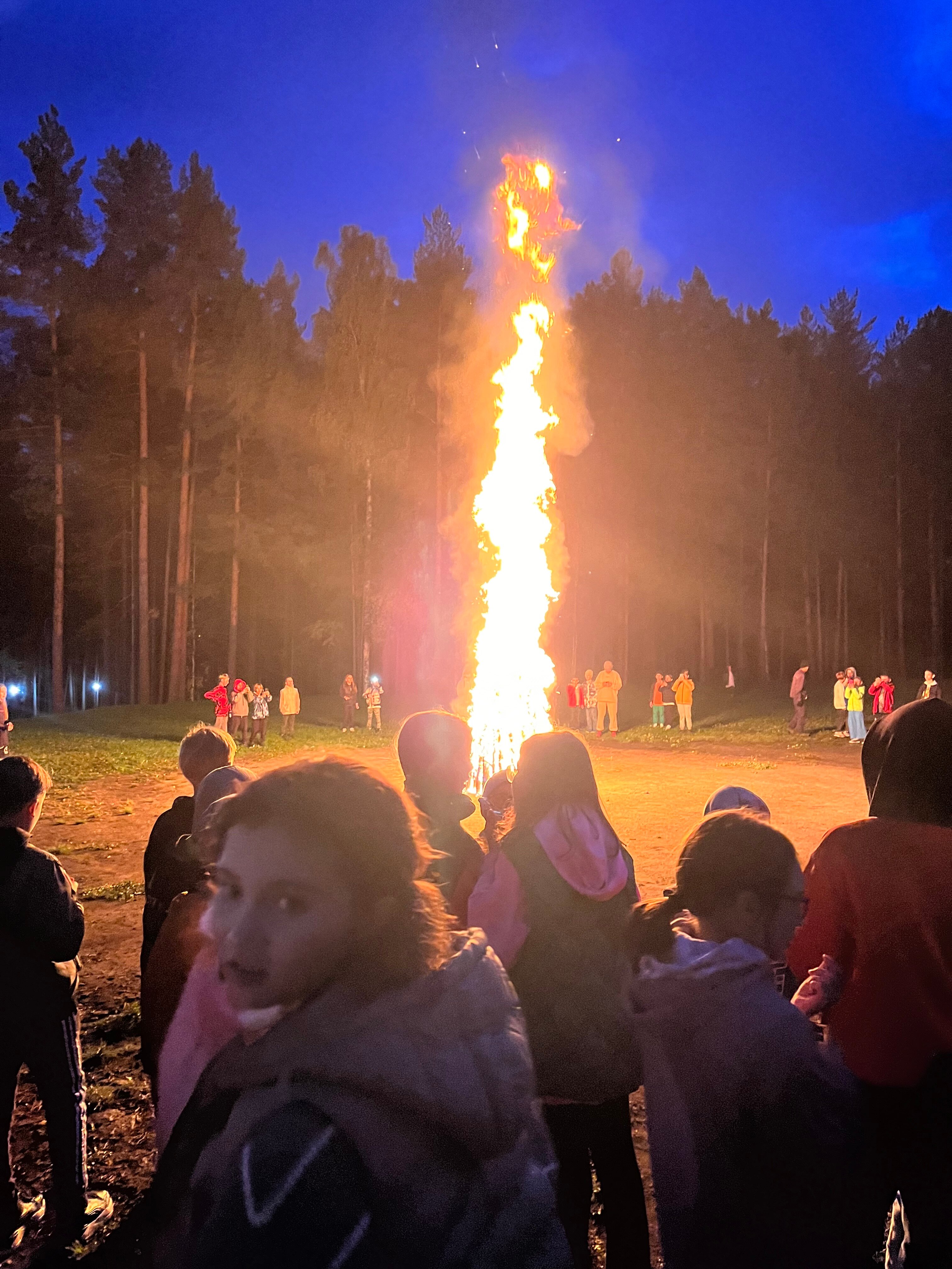 Фото Иволга