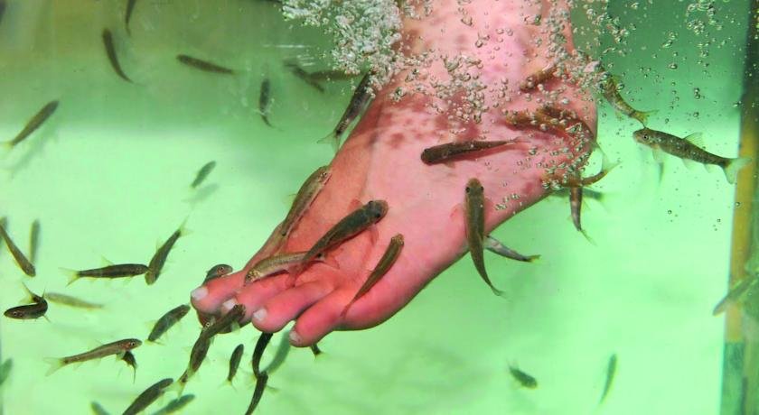 Фото Hunguest Hotel Helios