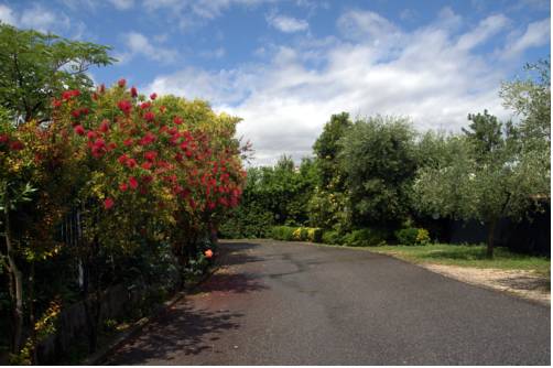 Фото Hotel Orto di Roma