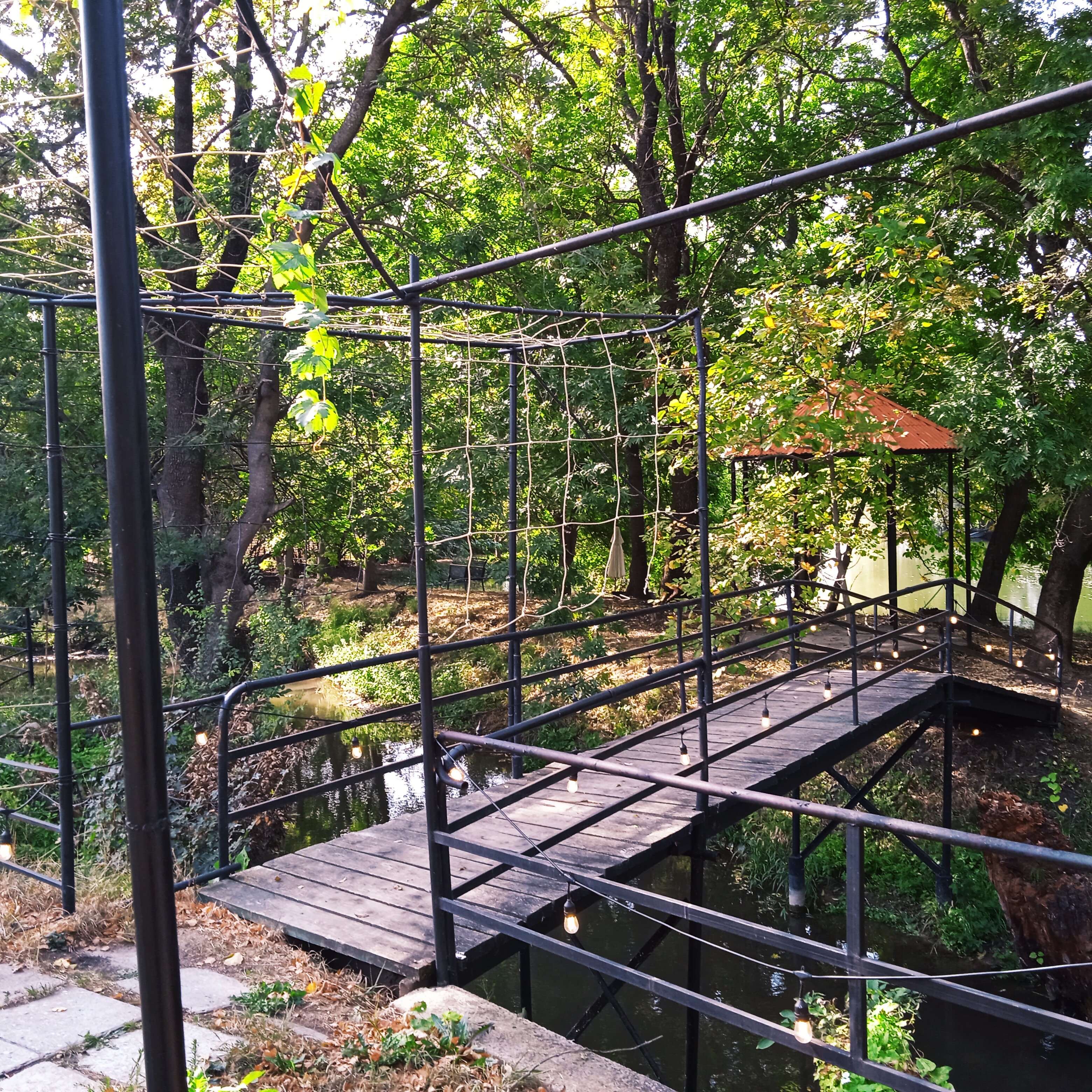 Фото Тихий пруд