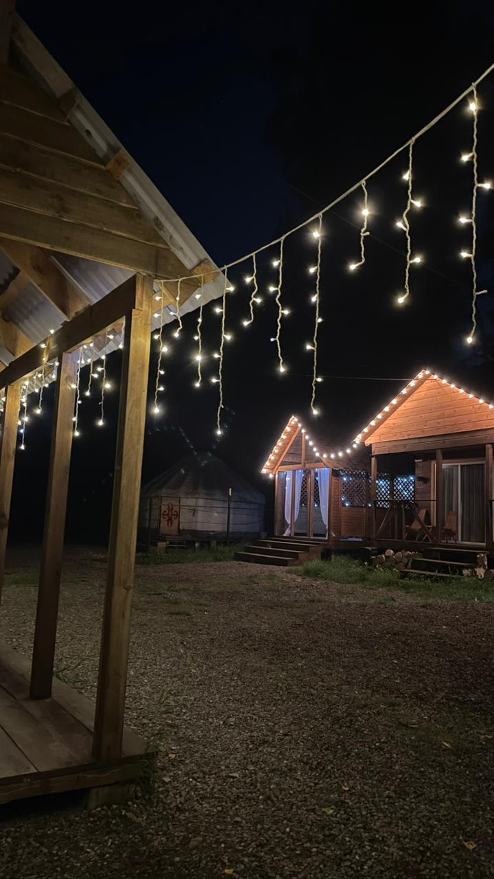 Фото Путник Алтая