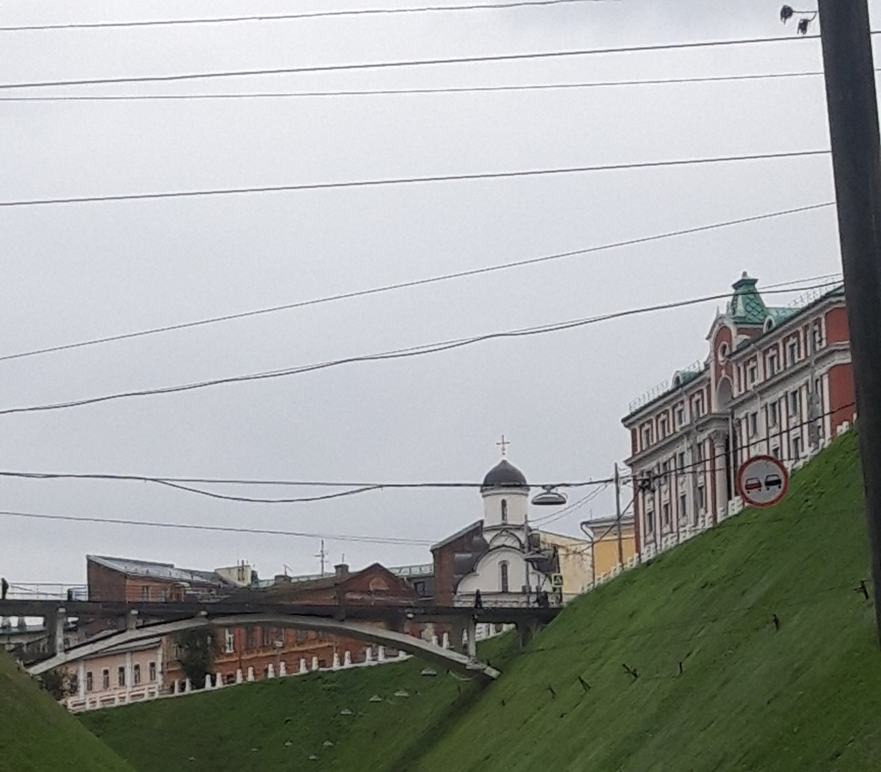 Фото Золотой Клевер