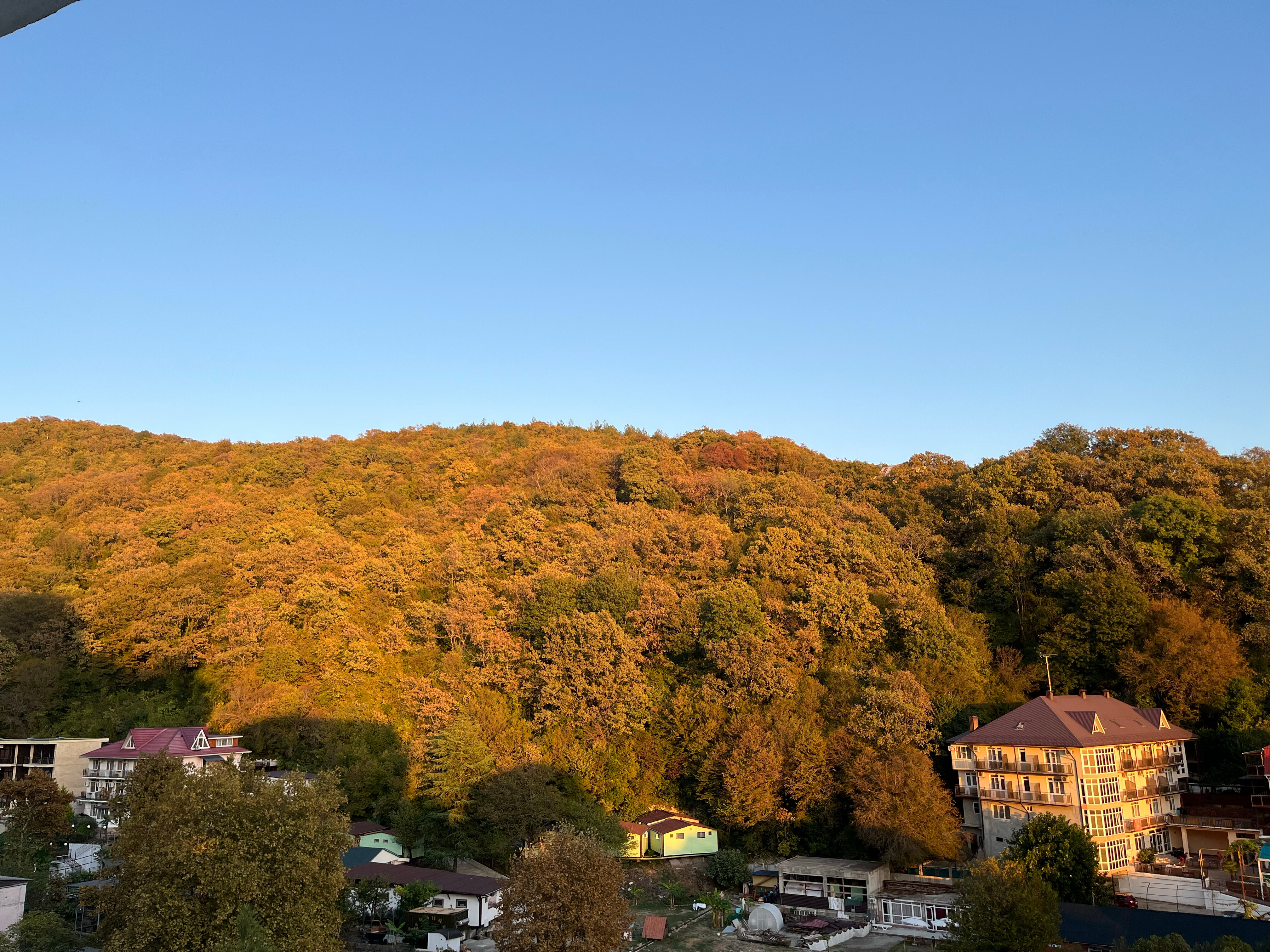 Фото Мелия family