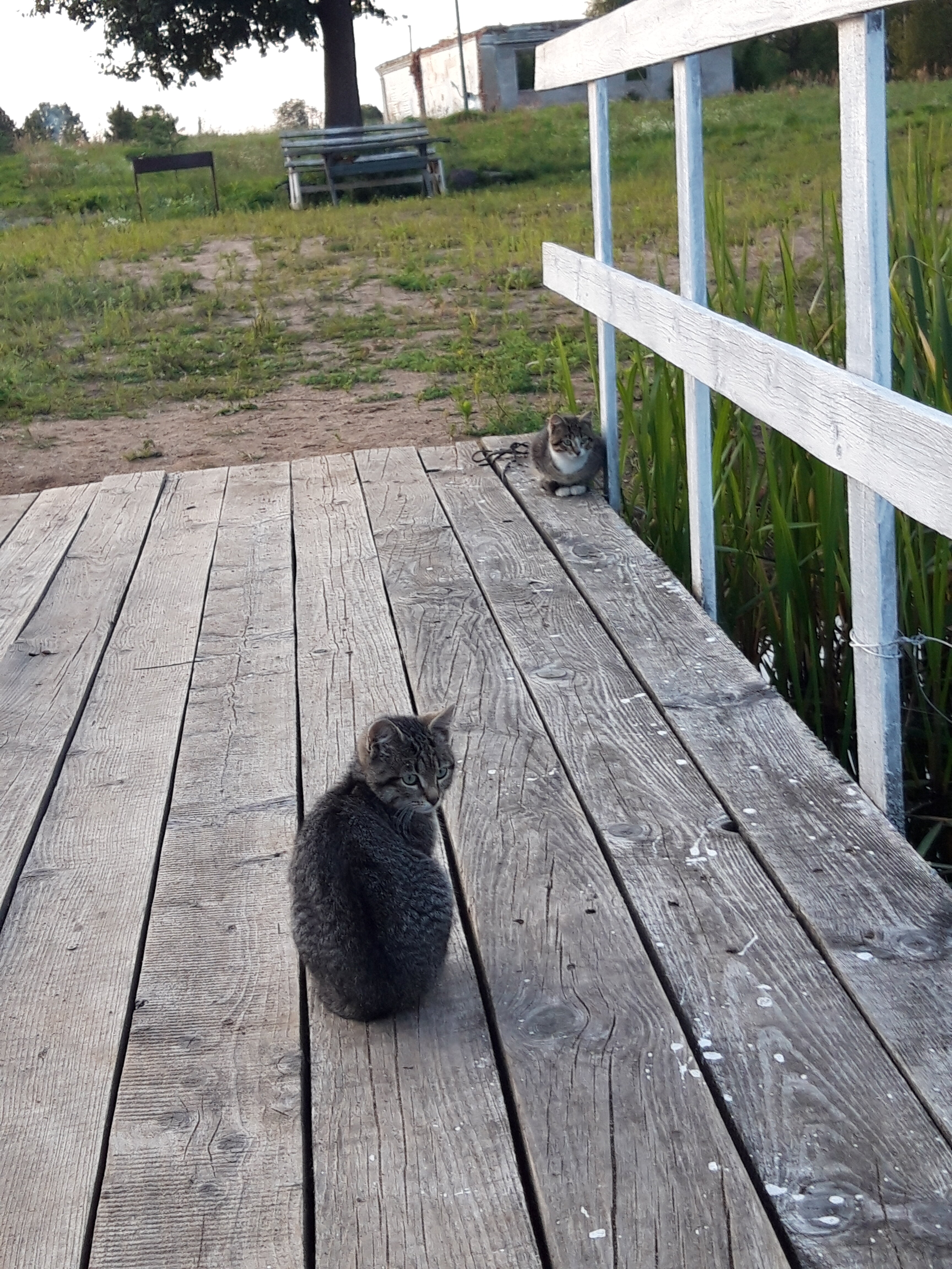 Фото Агроэкологический туристический комплекс Гостевой Домик