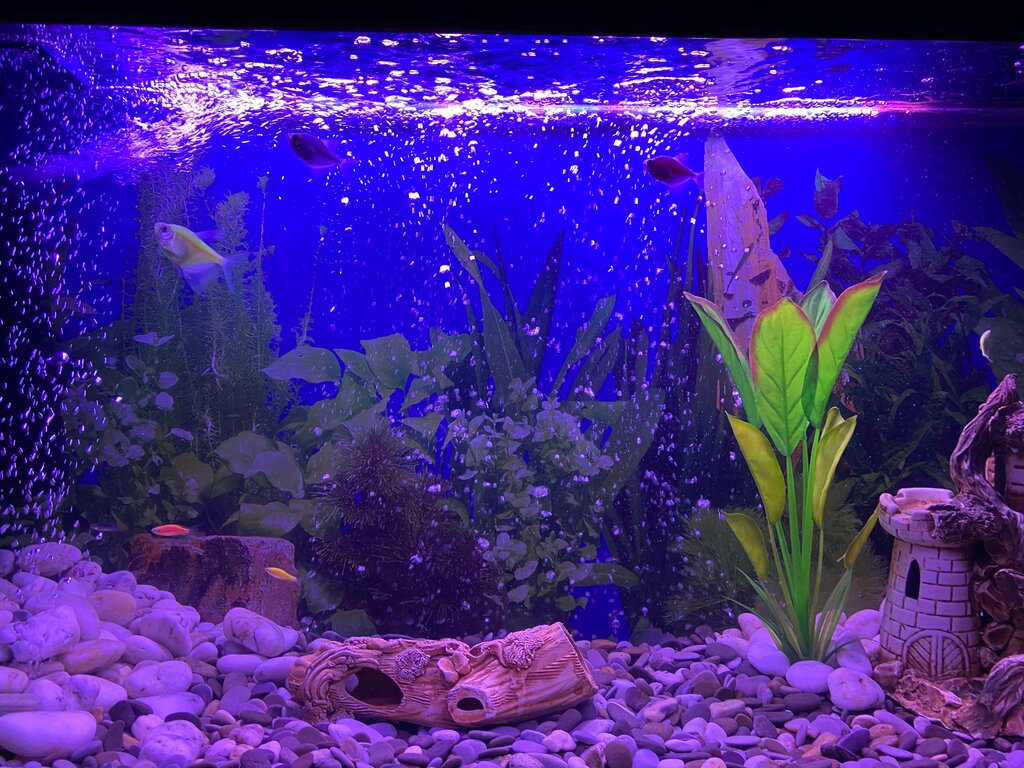 Aquariums Aqua-Mag, Rostov‑na‑Donu, photo