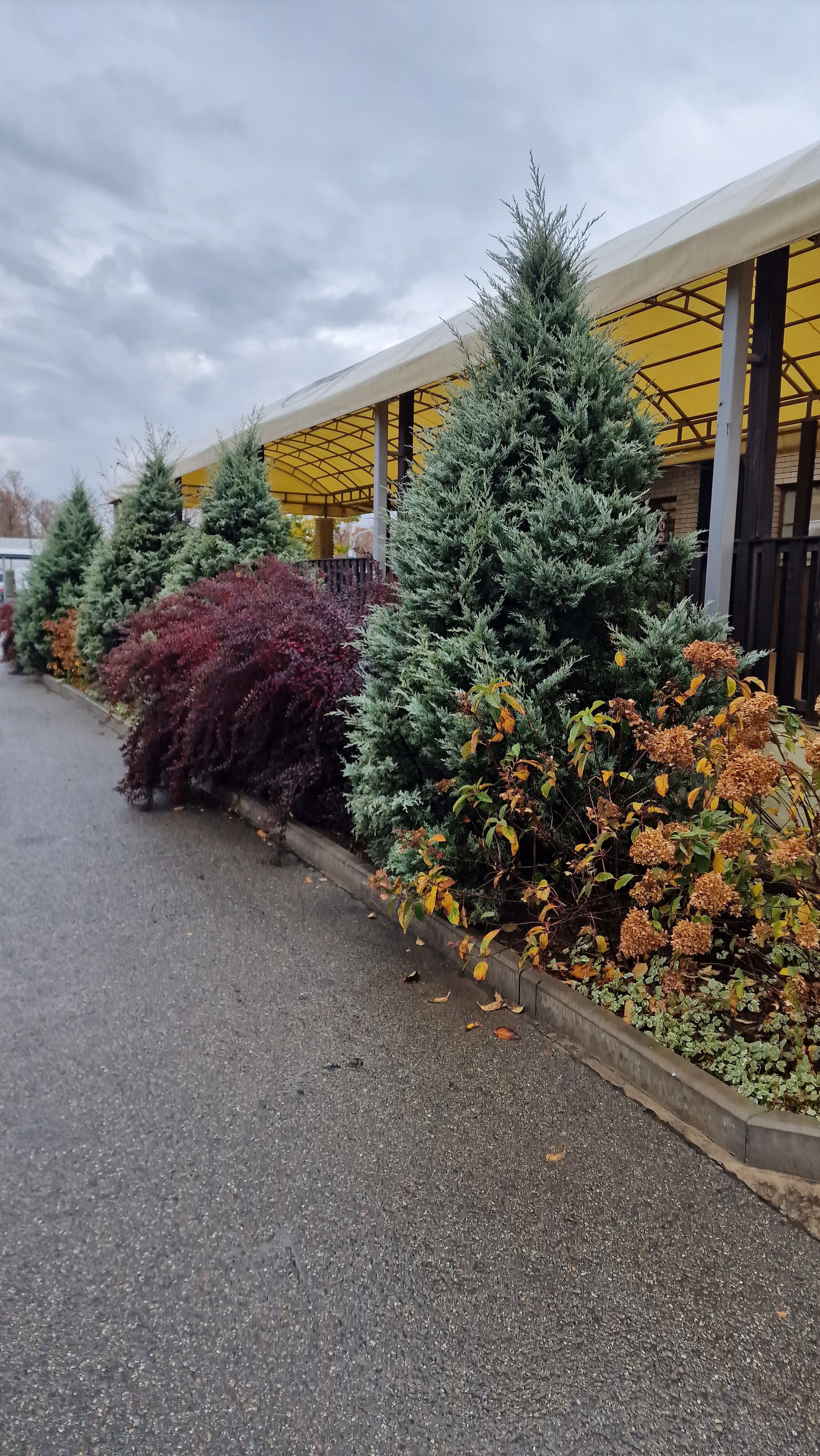 Фото Родина