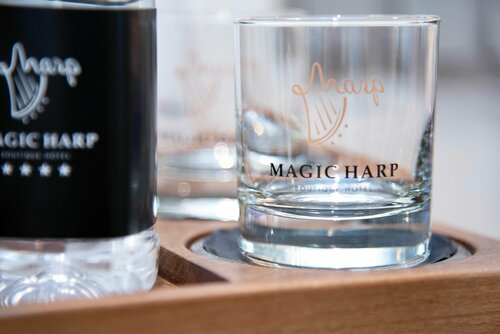 Внешний вид отеля Magic Harp в Москве, фото 3