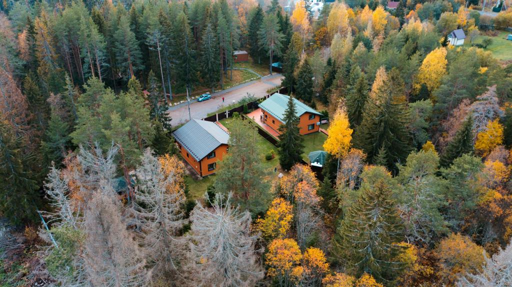 Фото Green Forest