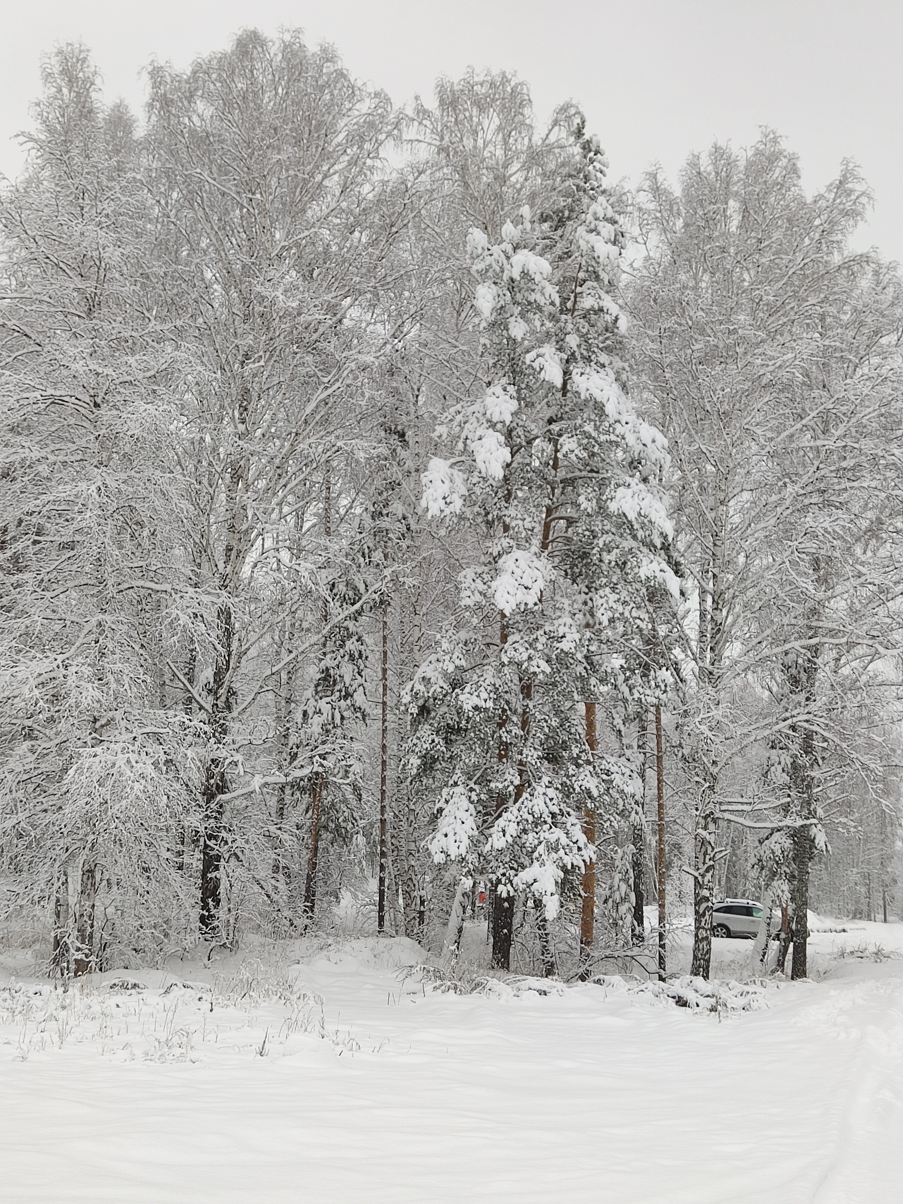 Фото Sunny Valley