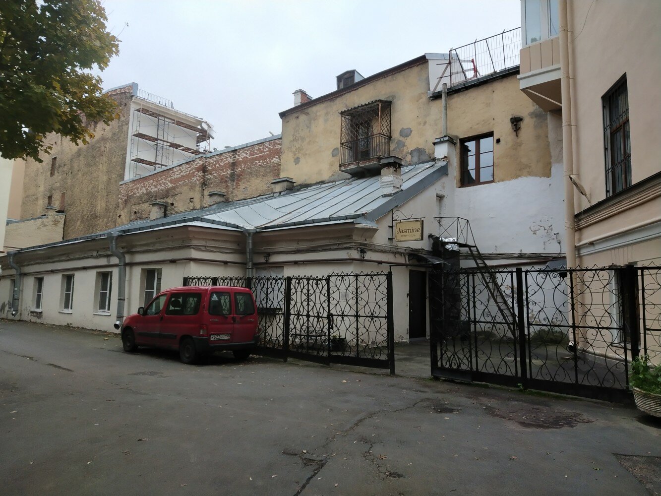 Фото Жасмин