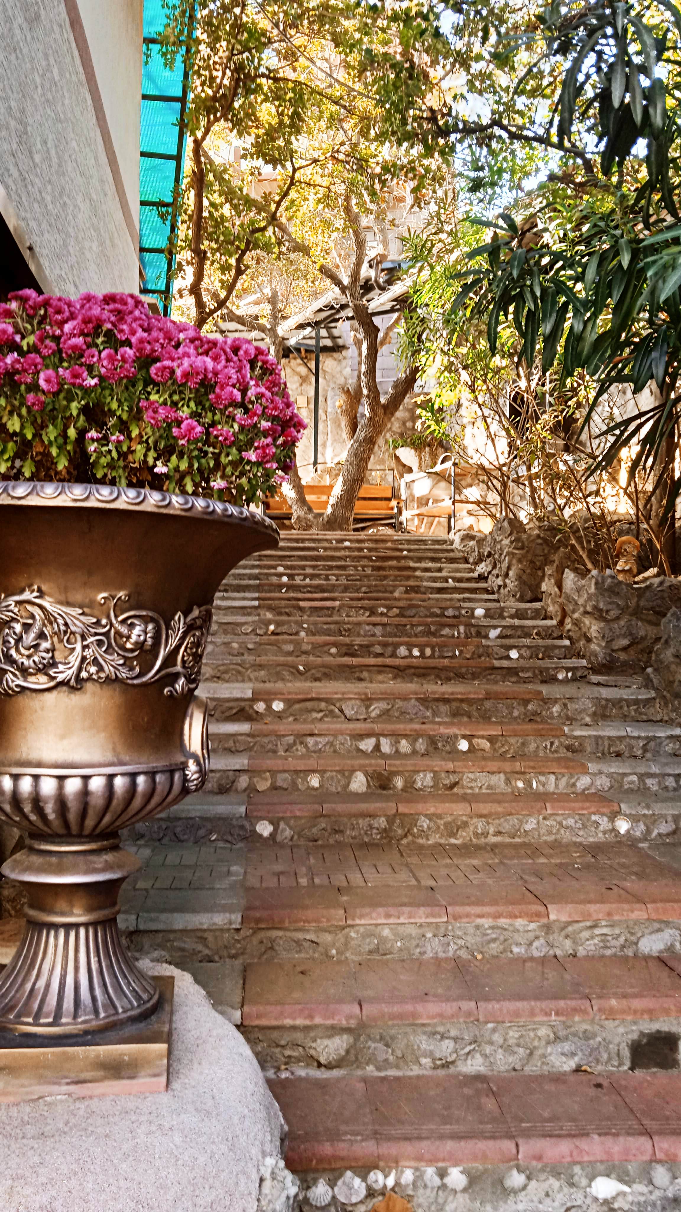 Фото Отдых в Кацивели