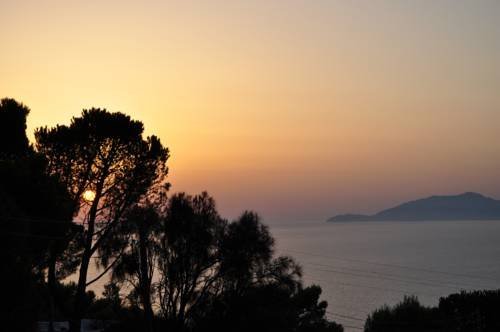 Фото B&B Cavalluccio Marino