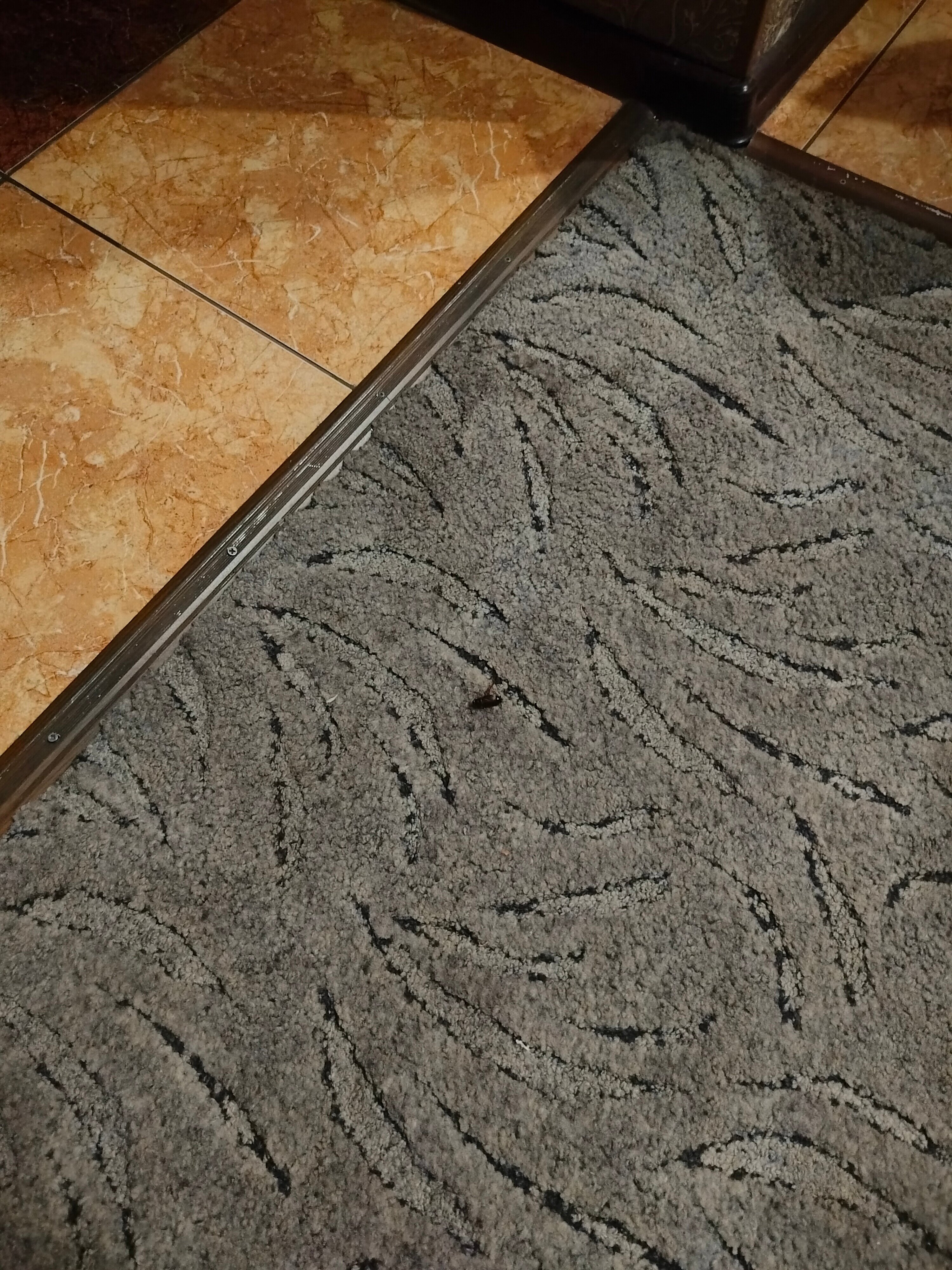 Фото Лондон House