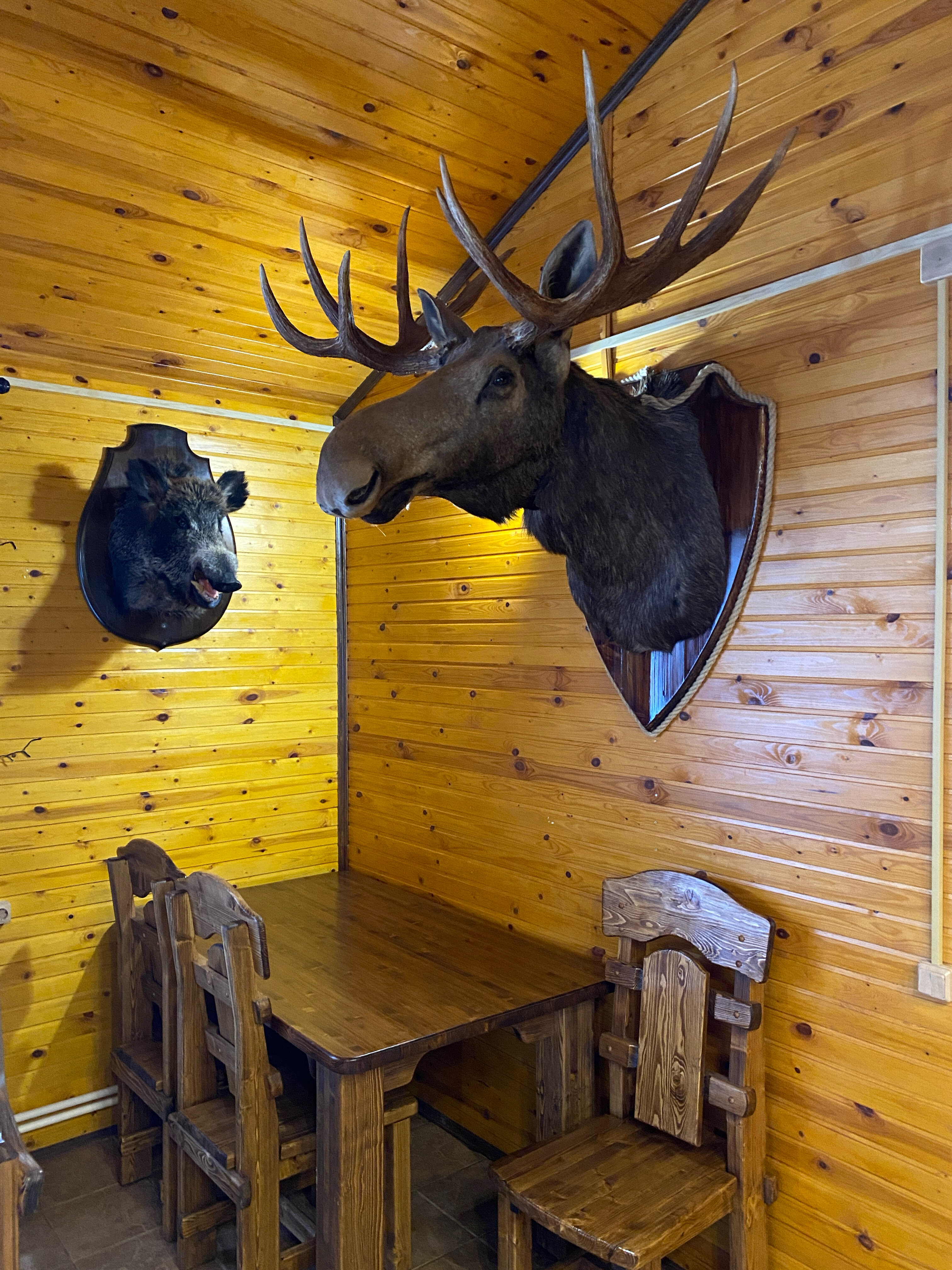 Фото Селигерский бережок