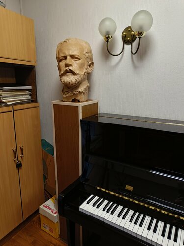 Müzik okulları ve konservatuarlar Detskaya shkola iskusstv im. P.I. Chaykovskogo, Kolpino, foto