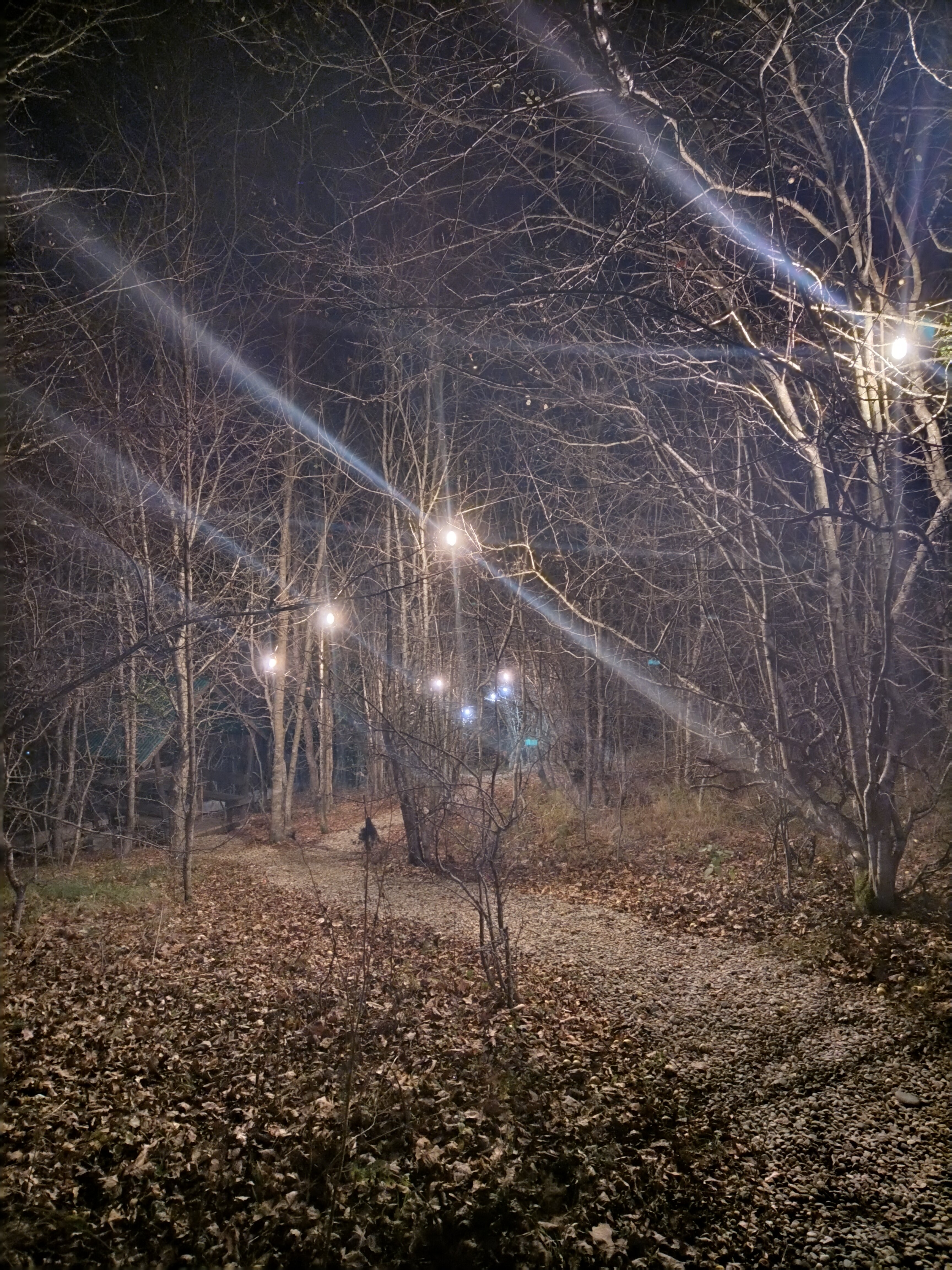 Фото Вершина