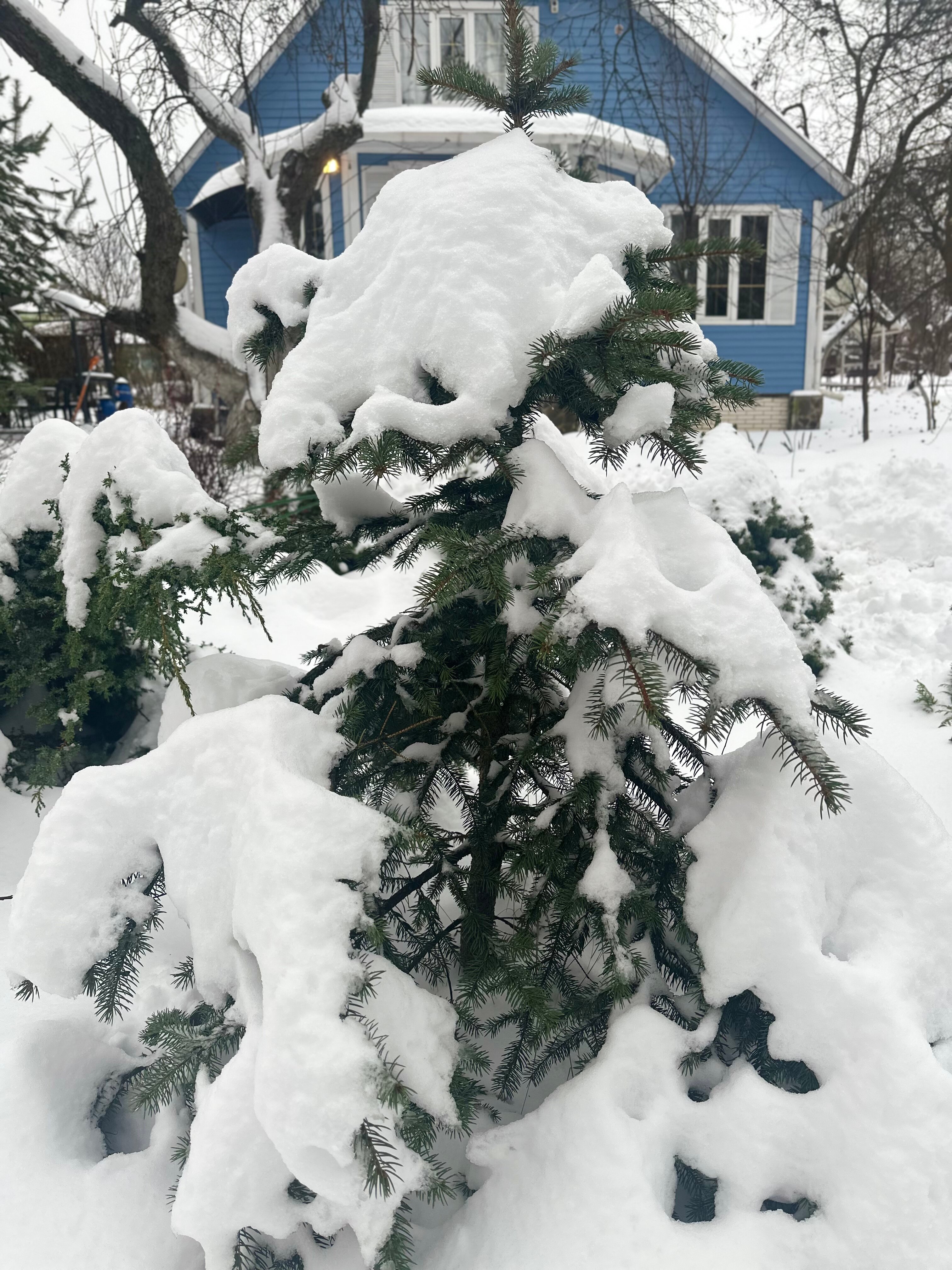 Фото Дача в Переделкино
