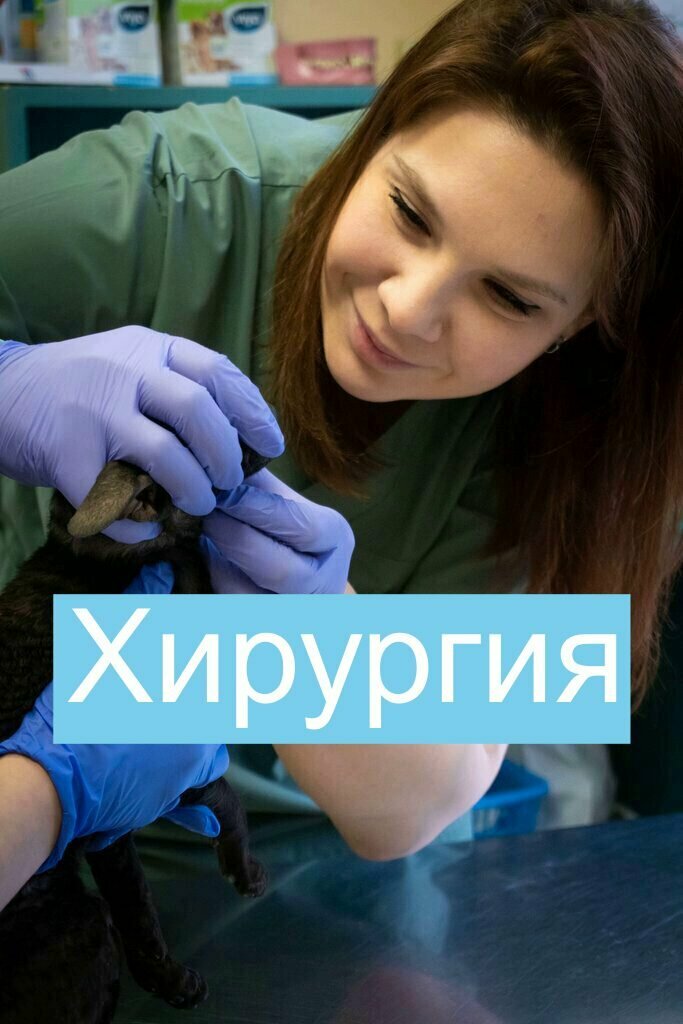 Veterinary clinic Ryadom, Zelenograd, photo