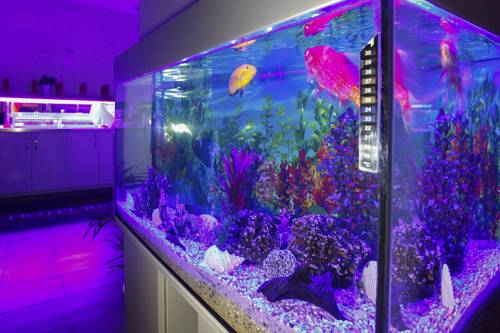 Фото Hotel Richter