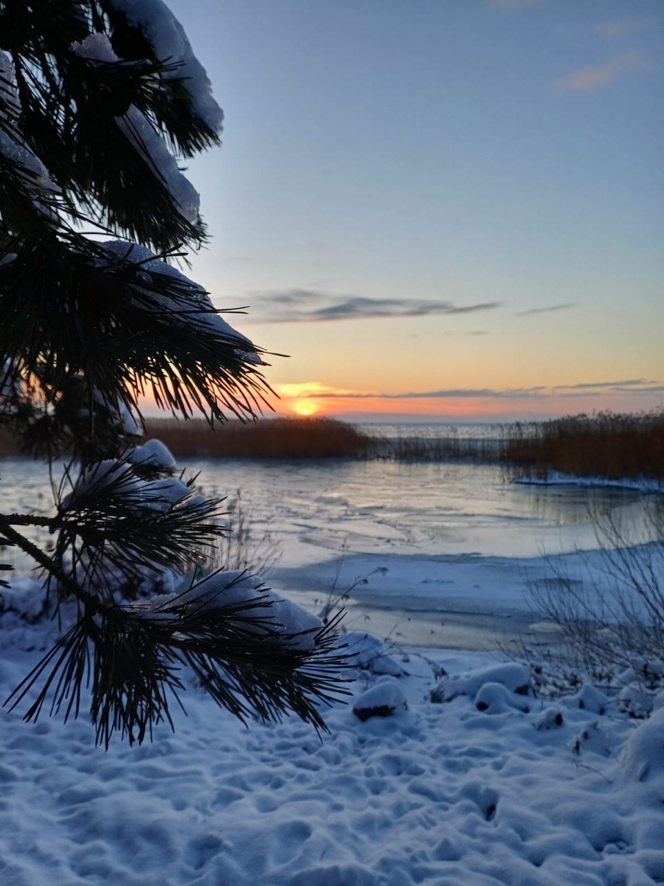 Фото Куршале