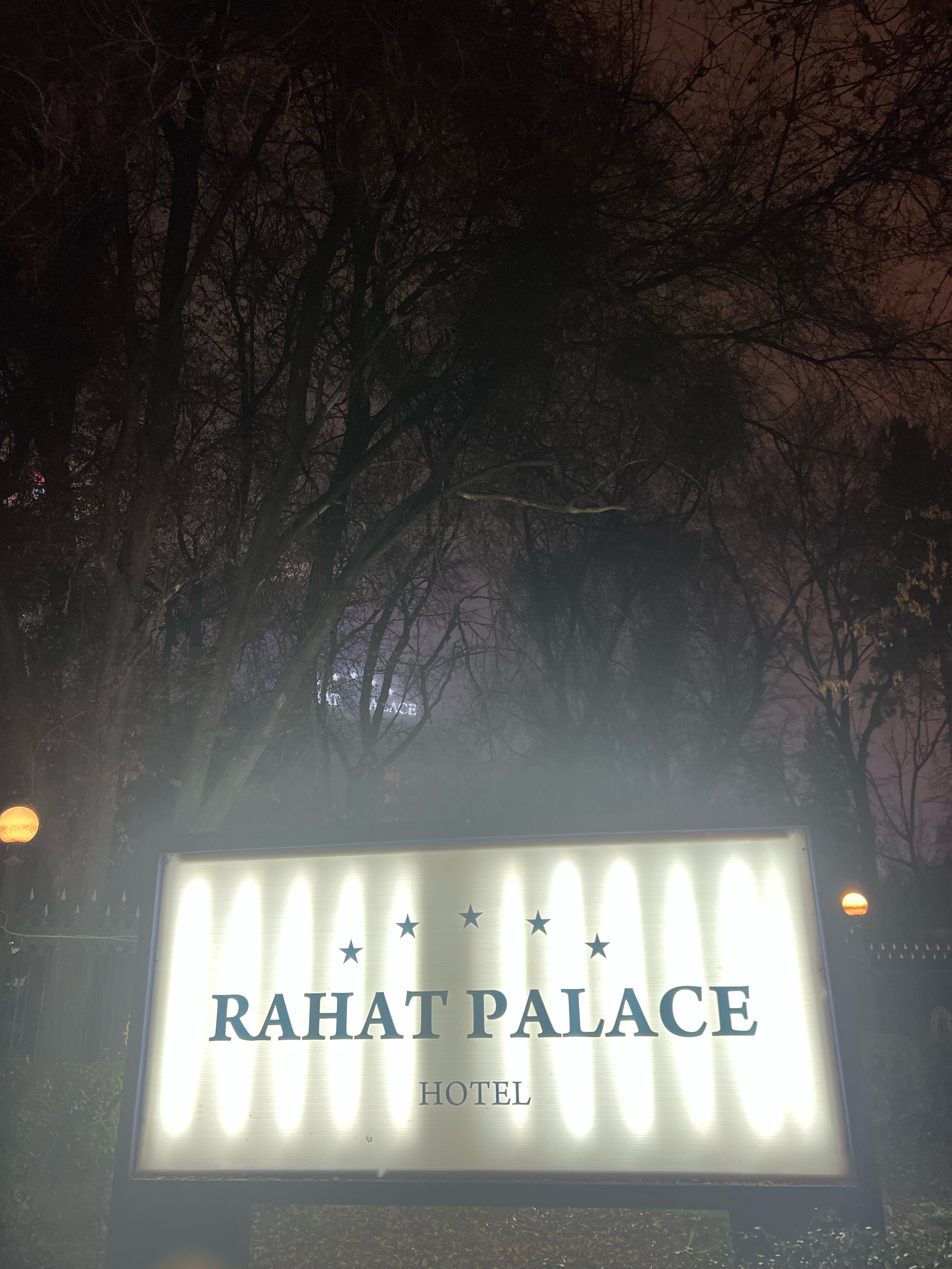 Фото Rahat Palace Hotel