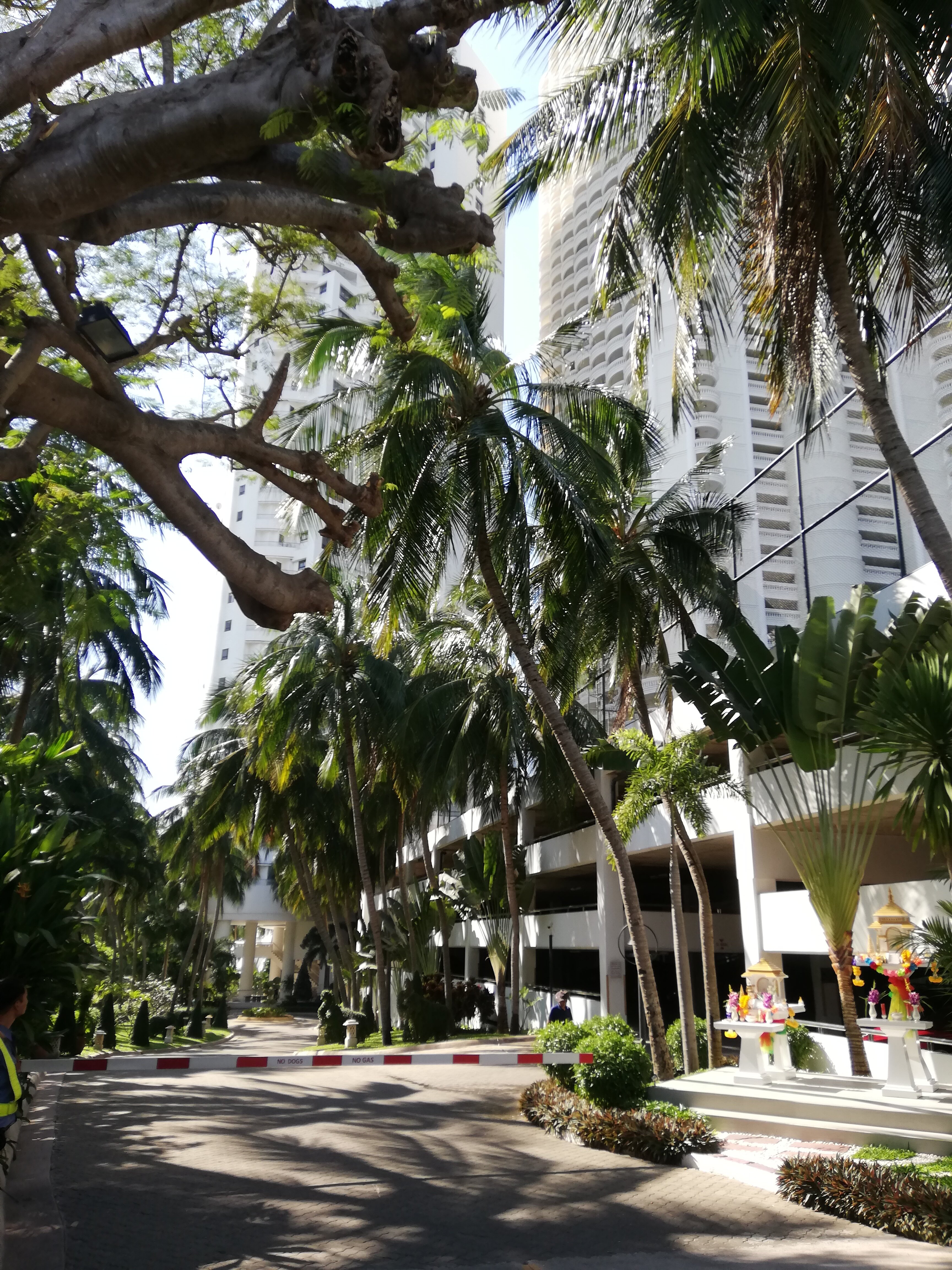 Фото Pullman Pattaya Hotel G