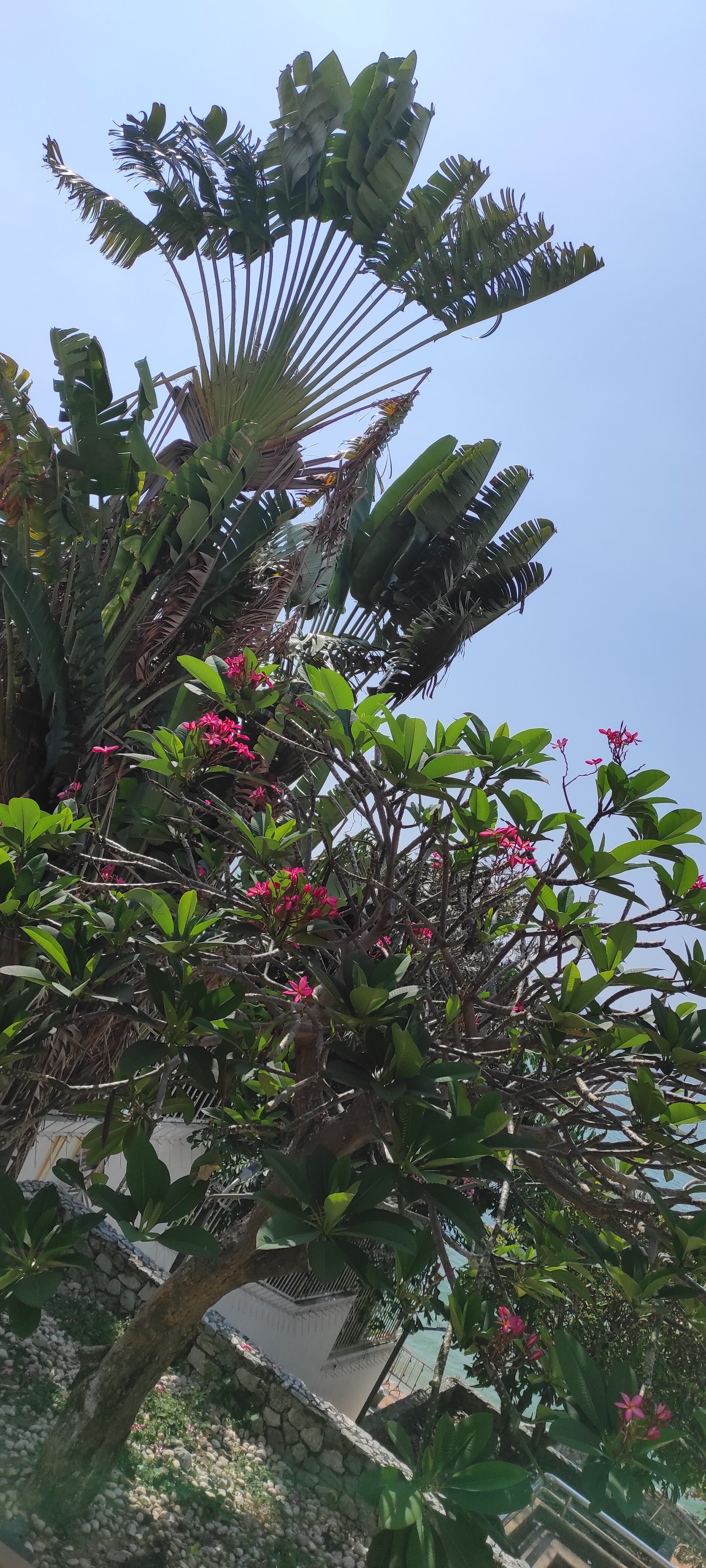 Фото Best Bella Pattaya