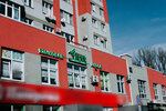 First Language (Makarova Lane, 2), foreign language courses