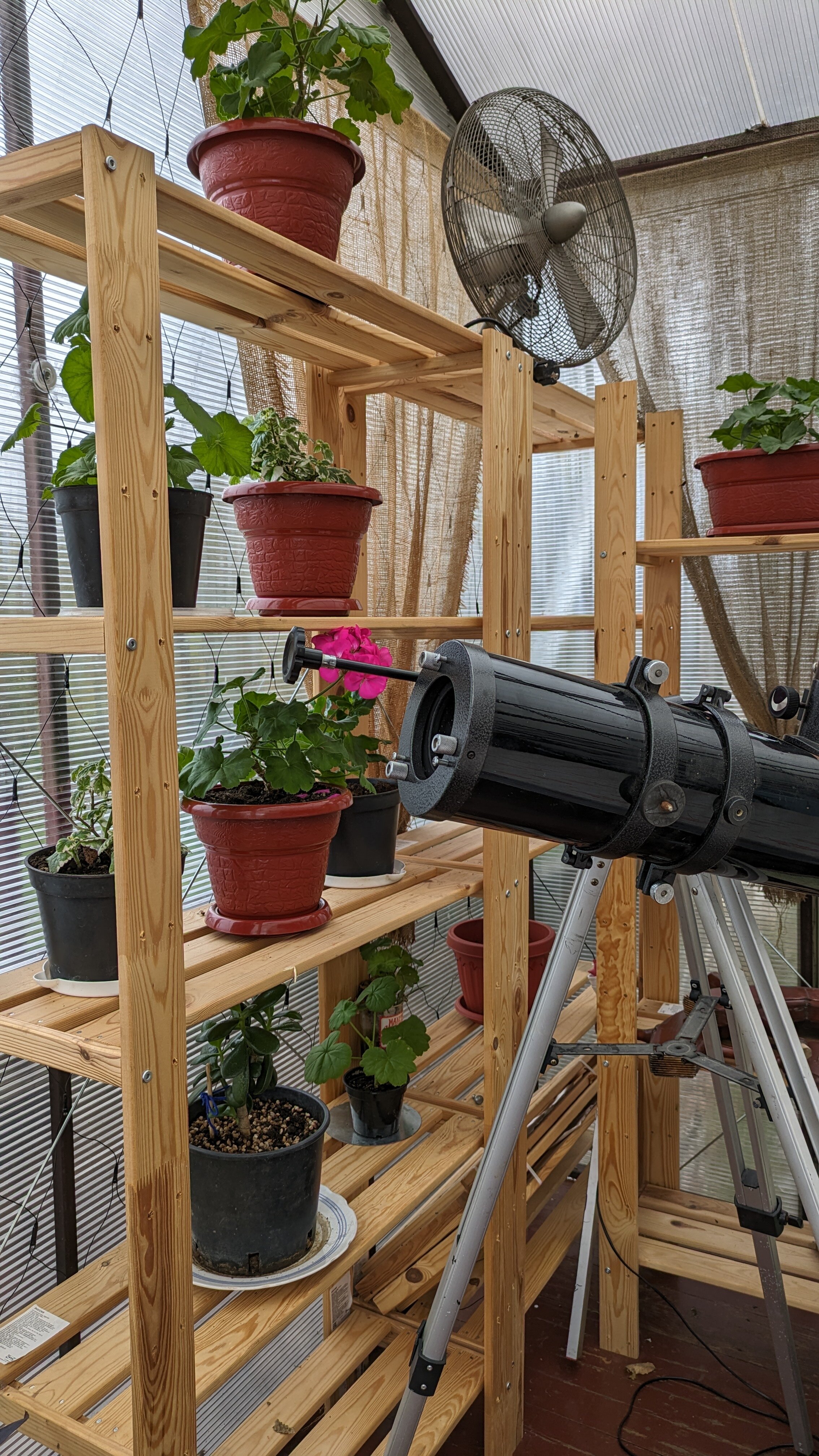 Фото Оранжереи