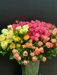 FlowerShop (ulitsa Goncharova, 16А) ، محل زهور