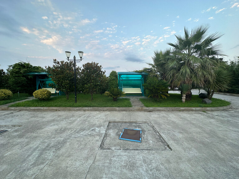 Фото Золотой огонек