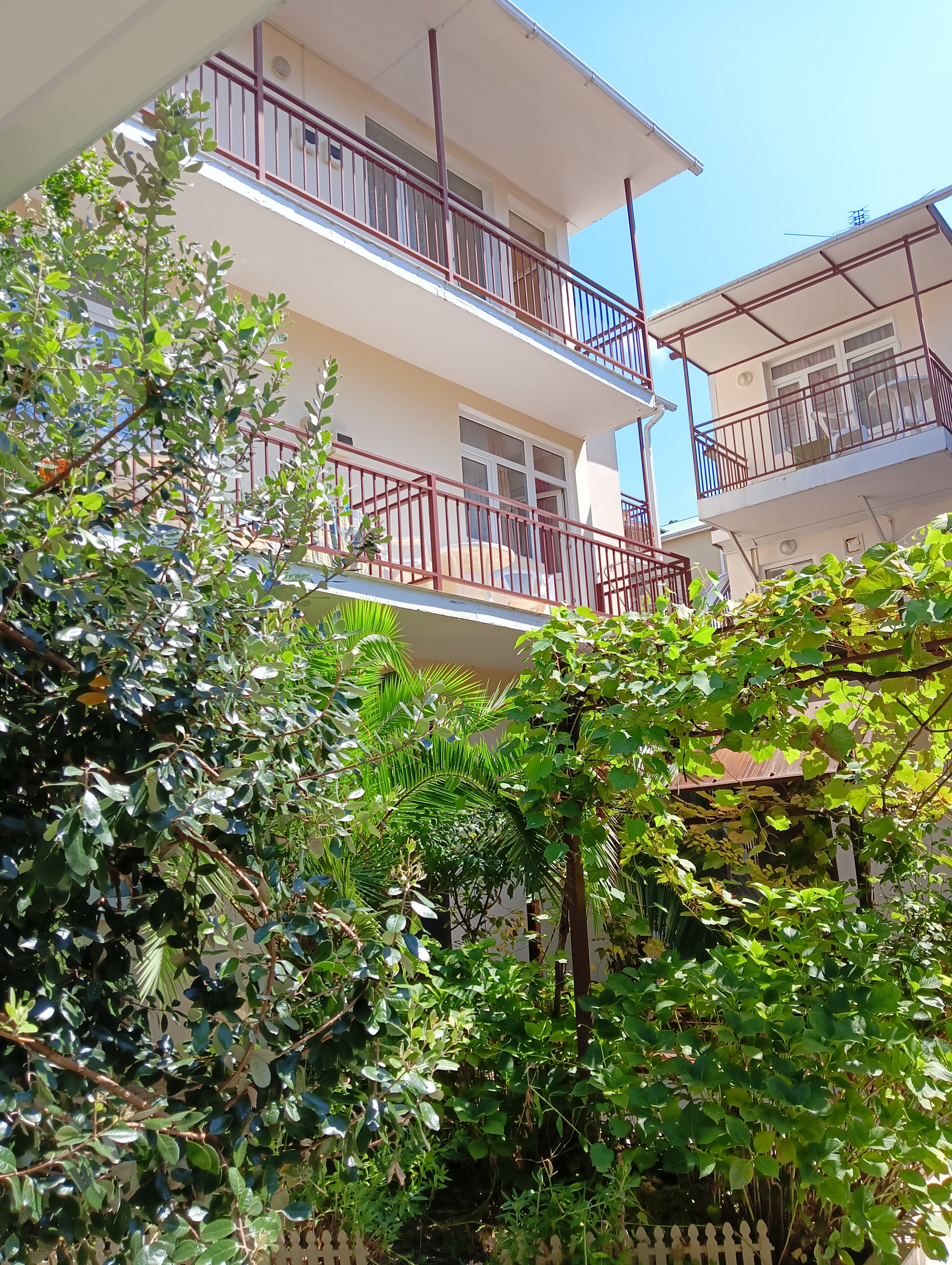 Фото Сабрина