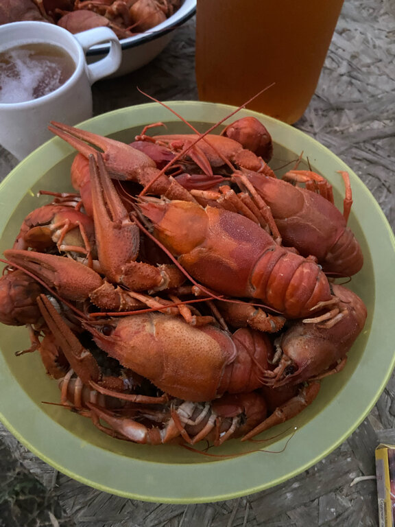 Фото База Серая