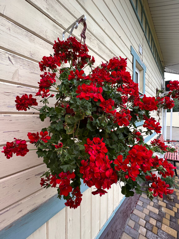 Фото Калинова Горка