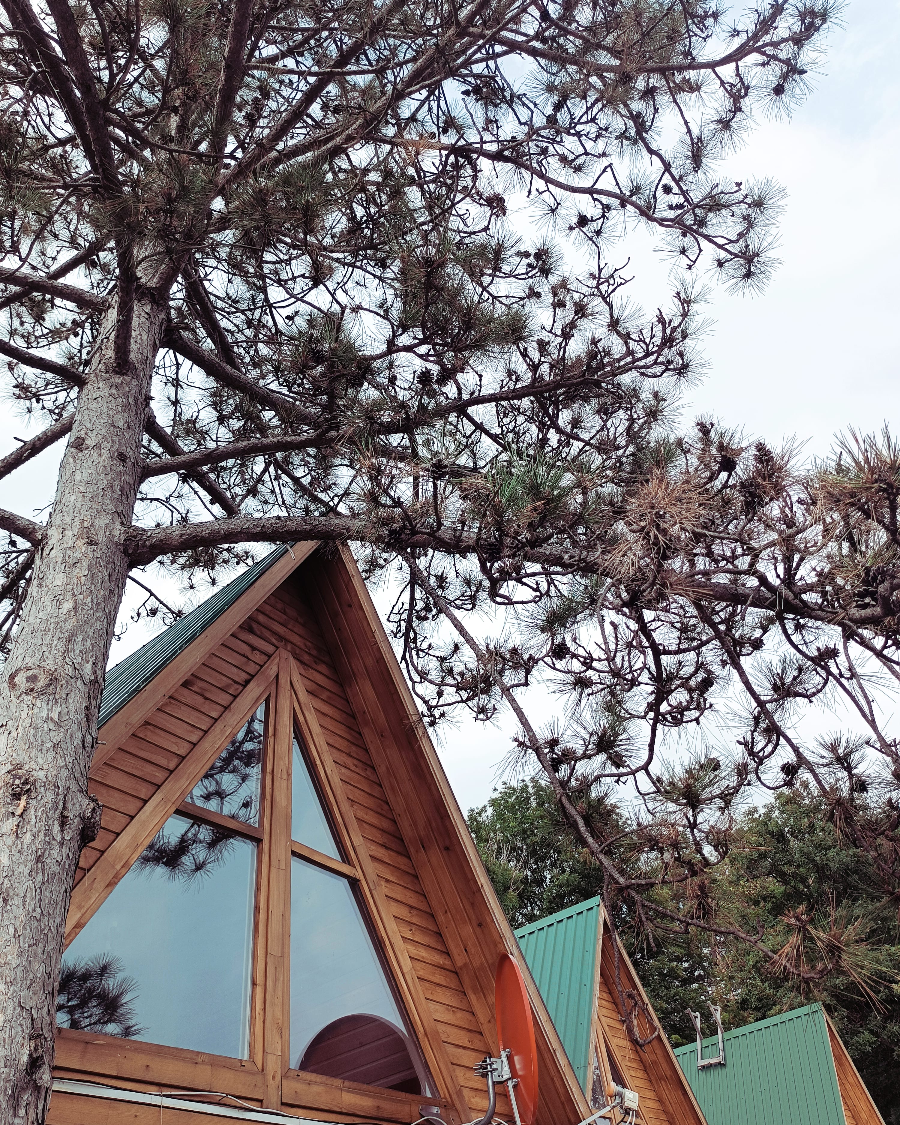 Фото Пять домиков