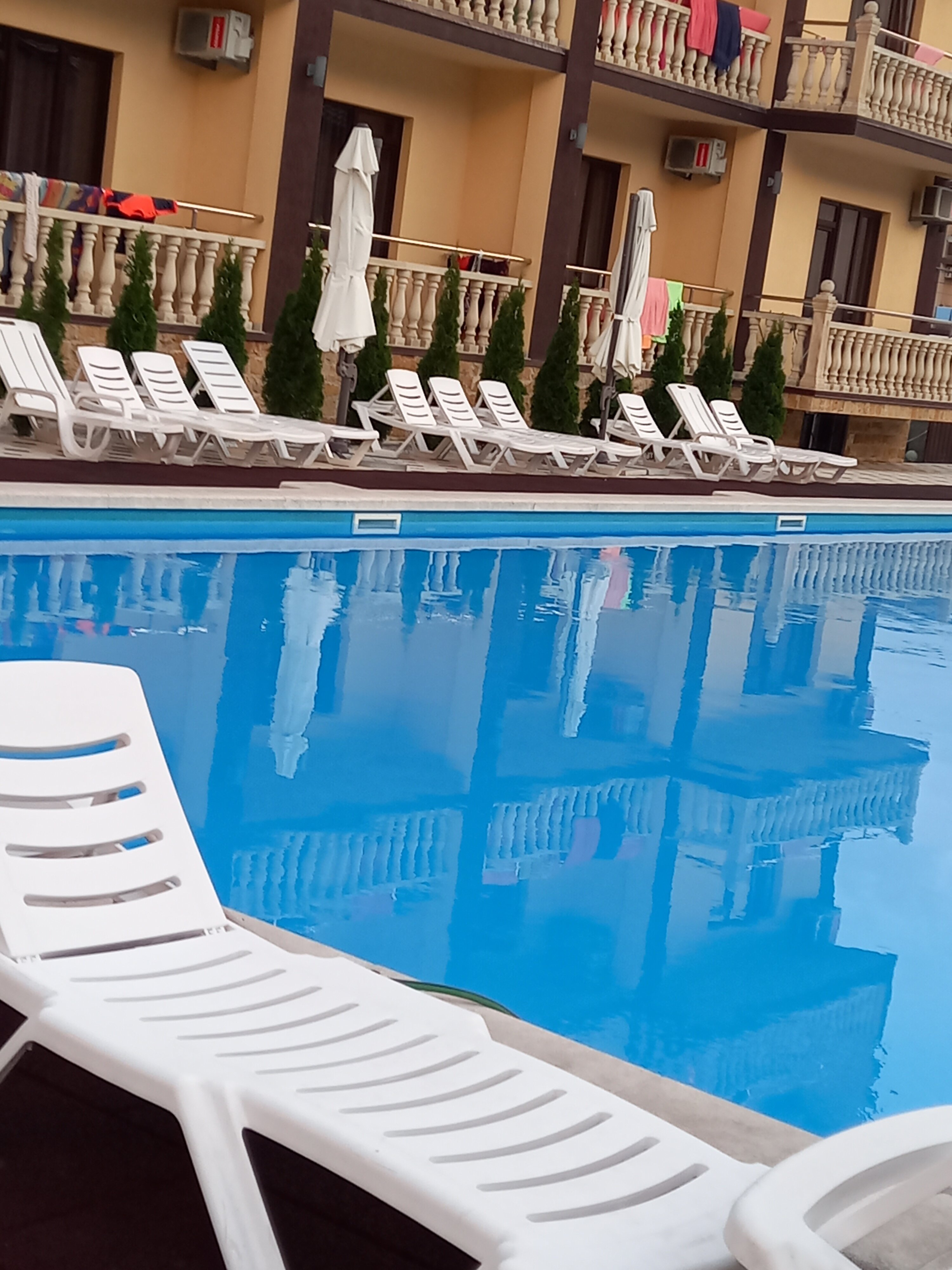 Фото Аммонит