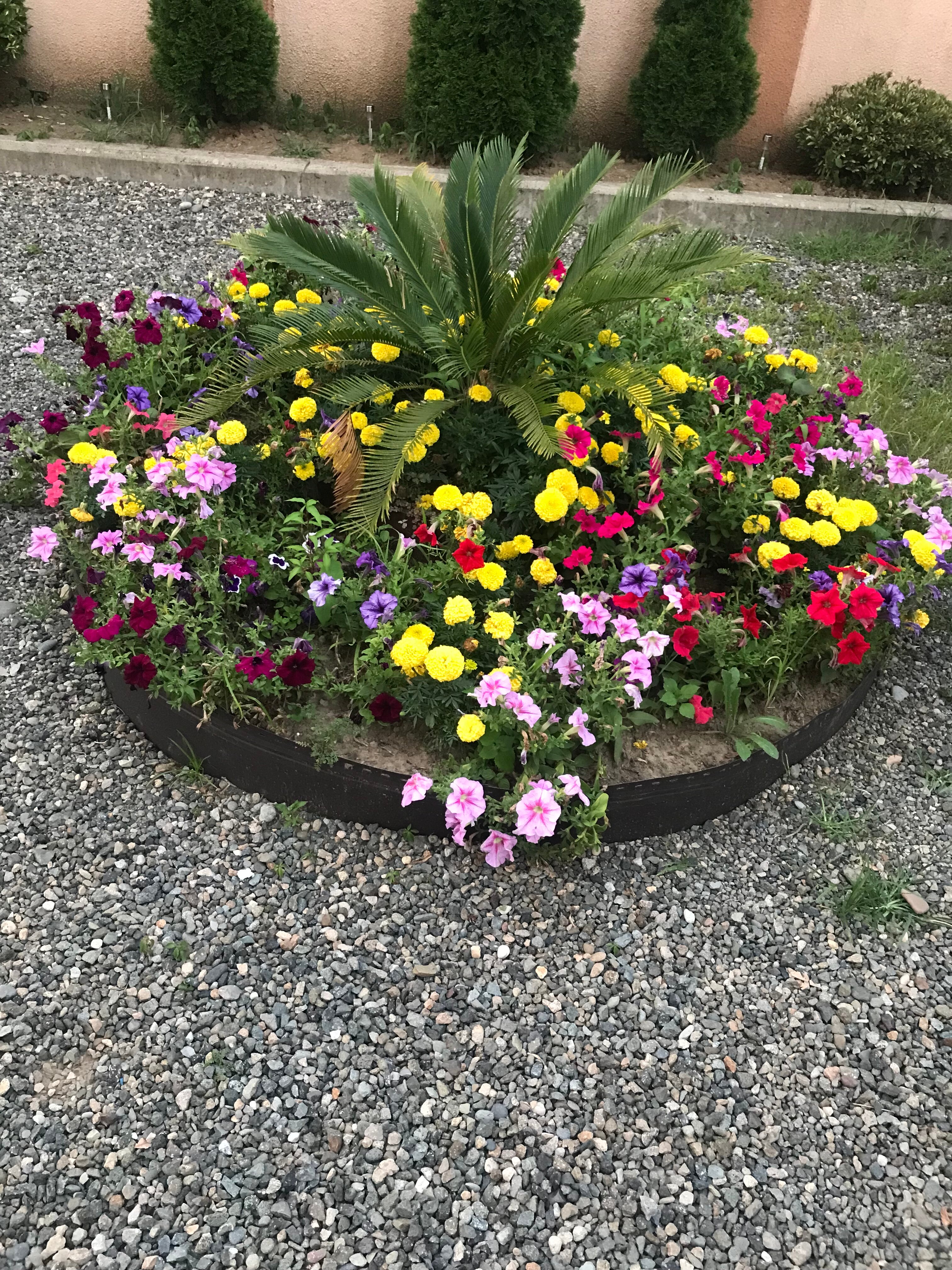 Фото Palermo Hotel