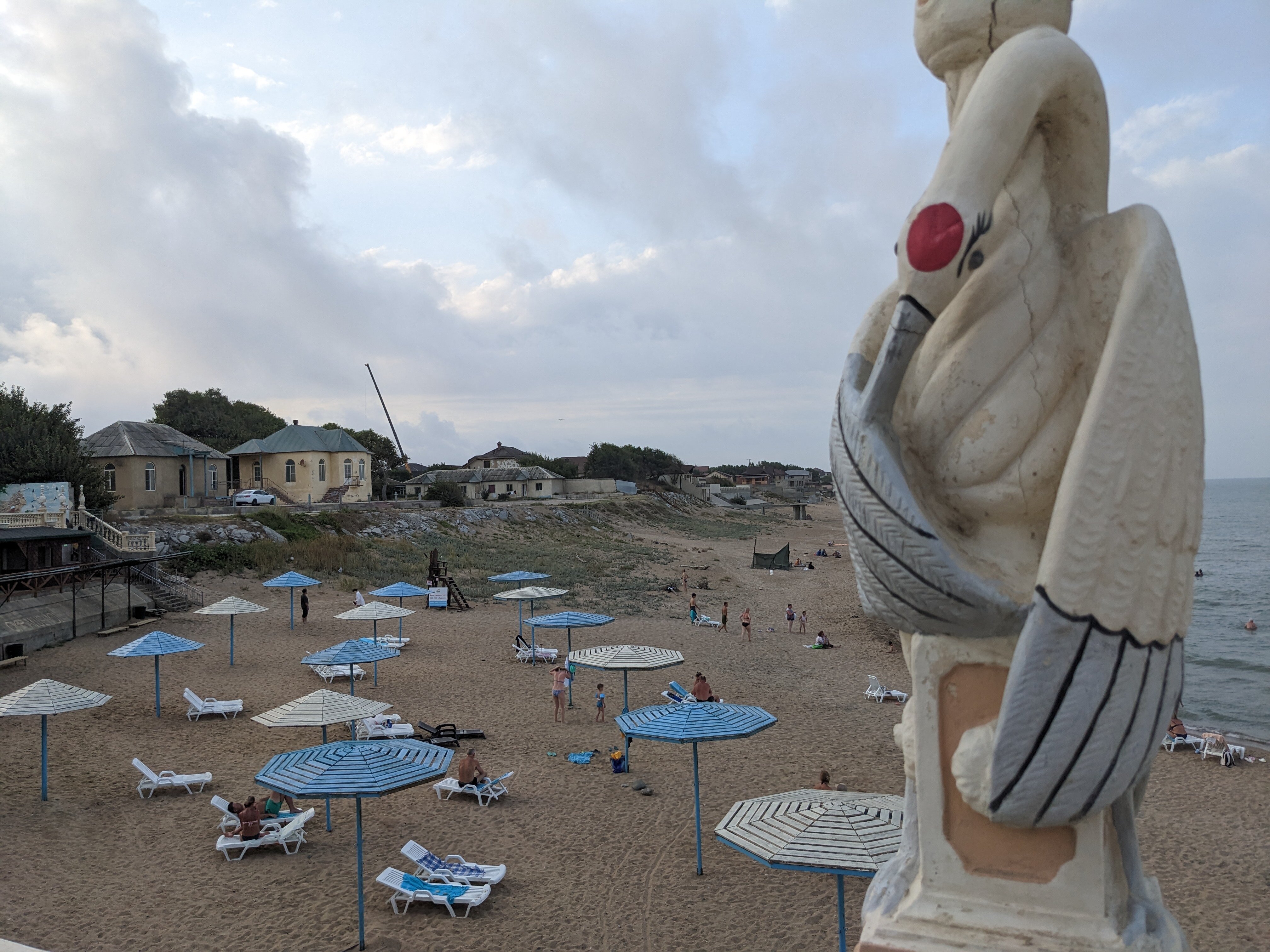 Фото Журавли