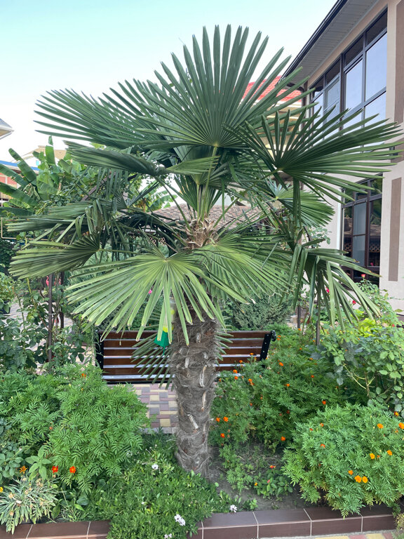 Фото Добрый