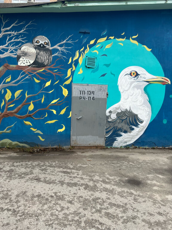 Фото Асгард