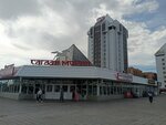 Armophone (Gagarina Street, 25), items for mobile phones