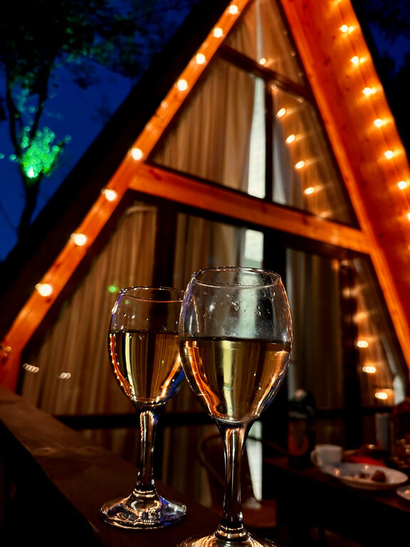 Фото Богатый лес