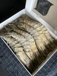 Морепродукты СПб (Bogatyrskiy Avenue, 56к1), fish and seafood