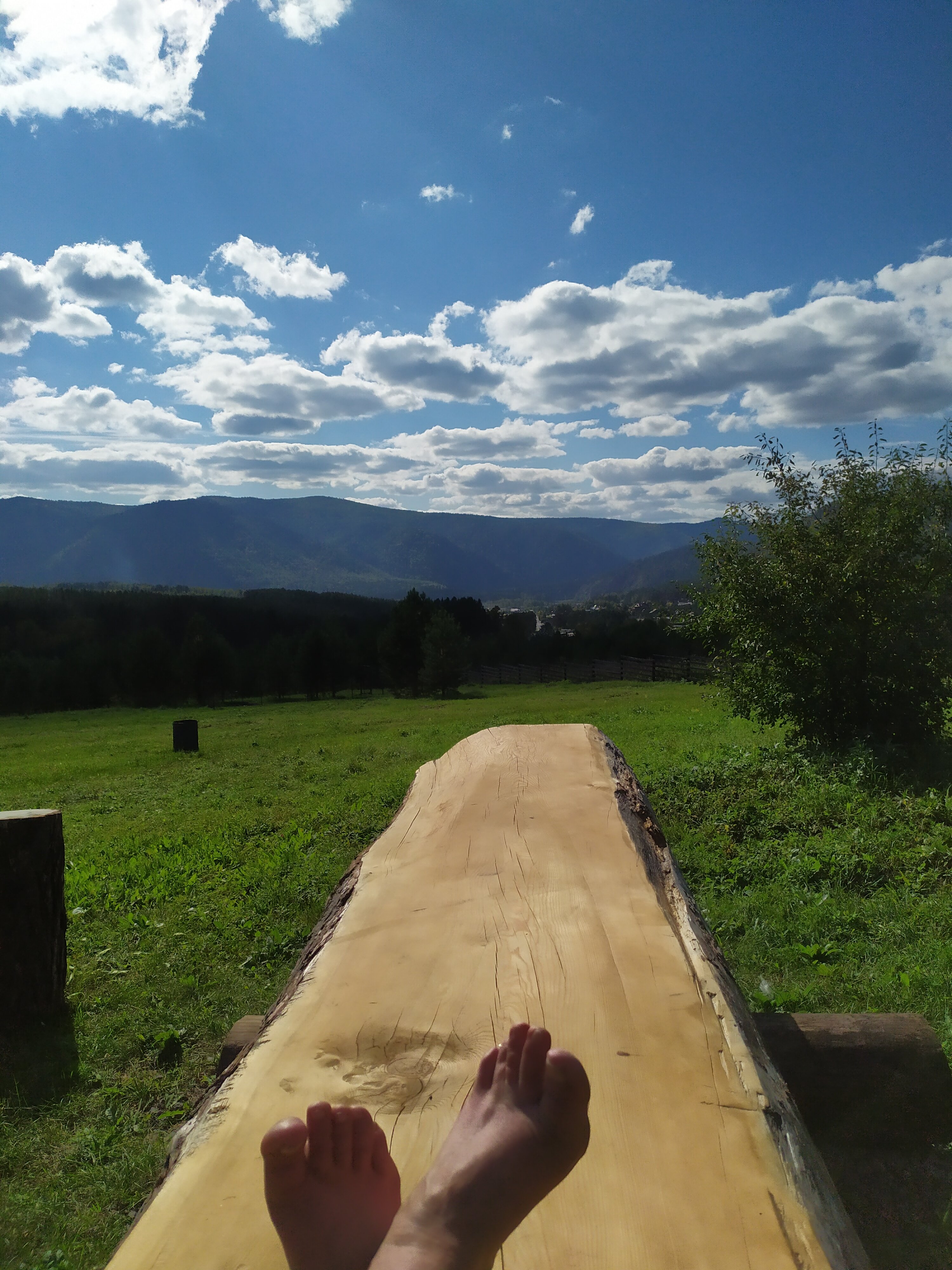 Фото Блэк пайн